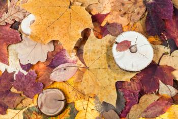 top view of pied fallen autumn leaves and sawed woods