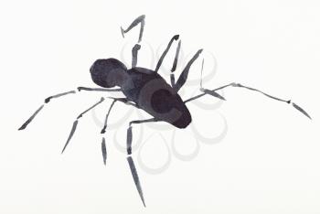 hand painting in sumi-e style on cream paper - spider drawn by black watercolors