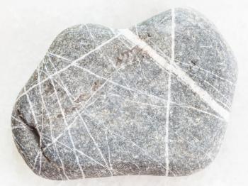 macro shooting of natural mineral rock specimen - Greywacke sandstone on white marble background