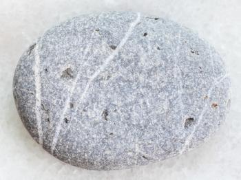macro shooting of natural mineral rock specimen - tumbled grauwacke sandstone on white marble background