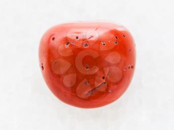 macro shooting of natural mineral rock specimen - polished red coral gemstone on white marble background