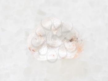 macro shooting of natural mineral rock specimen - tumbled rock crystal gemstone on white marble background