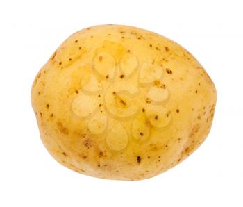 clean yellow potato tuber isolated on white background