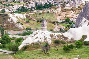 Travel to Turkey - rural landscape with fairy chimney rocks in Goreme National Park in Cappadocia in spring