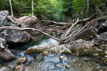 travel to Crimea - natural dam from fallen trees on Ulu-Uzen river in Haphal Gorge of Habhal Hydrological Reserve natural park in Crimean Mountains in september