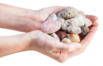 side view of various natural pebbles in handful isolated on white background