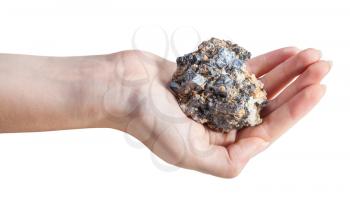 side view of zinc and lead mineral ore (sphalerite with galena) on female palm isolated on white background