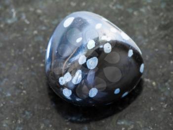 macro shooting of natural mineral rock specimen - tumbled snowflake obsidian gemstone on dark granite background
