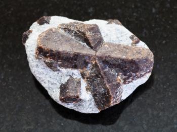 macro shooting of natural mineral rock specimen - raw crystal of Staurolite in mica shale on dark granite background from Western Keivy, Kola Peninsula, Russia