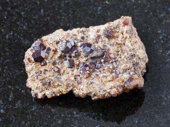 macro shooting of natural mineral rock specimen - Andradite garnet crystals on stone on dark granite background from Primorsky Krai, Russia