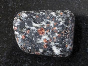 macro shooting of natural mineral rock specimen - red Garnet crystals in polished Hornblende stone on dark granite background from Nigrozero region of Karelia, Russia