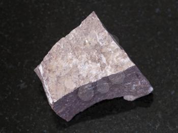 macro shooting of natural mineral rock specimen - raw Aleurolite stone on dark granite background