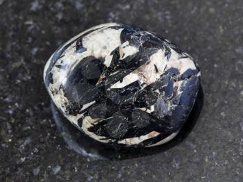 macro shooting of natural mineral rock specimen - black aegirine crystals in polished microcline stone on dark granite background from Lovozero Massif, Kola peninsula, Russia