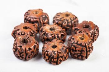 beads from natural seeds of Rudraksha tree on gray concrete background