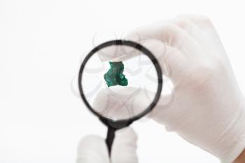 master checks dioptase crystal with magnifier on white background