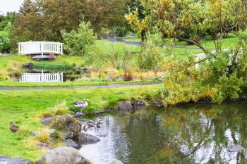 travel to Iceland - ponds in public family park in laugardalur valley of Reykjavik city in september