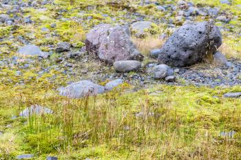 travel to Iceland - pumice boulders and grass near Solheimajokull glacier (South glacial tongue of Myrdalsjokull ice cap) in Katla Geopark on Icelandic Atlantic South Coast in september