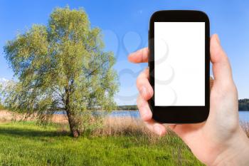 travel concept - tourist photographs willow tree on green shore of ponds of Bobritsa river in Ukraine in spring on smartphone with cut out screen for advertising logo