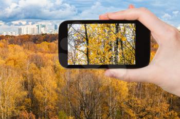 travel concept - tourist photographs urban Timiryazevskiy park in Moscow city in Russia in autumn on smartphone