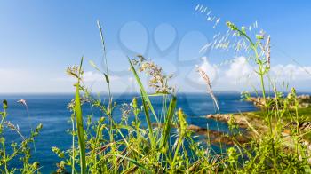 travel to France - green grass on coastline of English Channel in Saint-Guirec area of Perros-Guirec commune on Pink Granite Coast of Cotes-d'Armor department in north of Brittany in summer morning