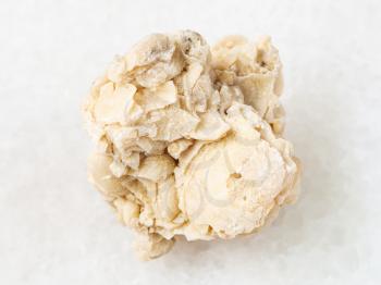 macro shooting of natural mineral rock specimen - raw coquina limestone stone on white marble background