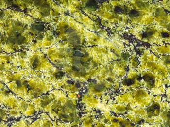 natural background from polished lizardite stone close up