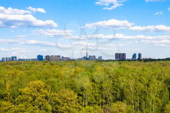 view of green woods of Timiryazevsky park in Moscow city in sunny summer day