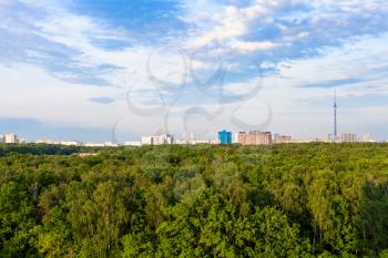 above view of green forest and urban houses illuminated by summer afternoon sun in Moscow city
