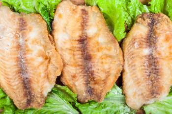 top view of fried ocean perch fillet on green lettuce close up