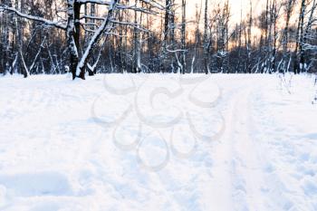 ski tracks on surface snow-covered meadow in urban park in winter sunset