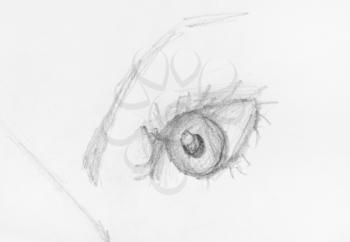 sketch of human eye with eyebrow hand-drawn by lead pencil on white paper