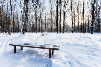 view of snow-covered bench in urban park in winter twilight