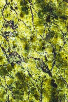vertical background from polished greenish serpentinite natural stone close up