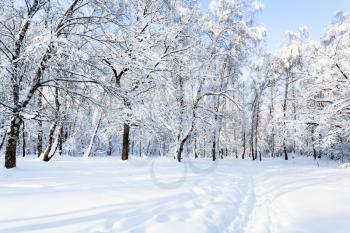 view of snow-covered Timiryazevskiy forest park of Moscow city in sunny winter morning