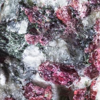 macro shooting of natural texture of syenite mineral with pink Eudialyte crystals from Kola Peninsula