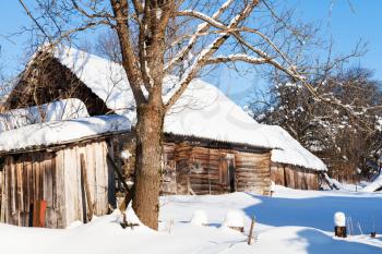 old abandoned typical russian rural house in sunny winter day in little village in Smolensk region of Russia