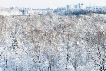 above view of snowy Timiryazevsky park and residential district in Moscow city in sunny winter day