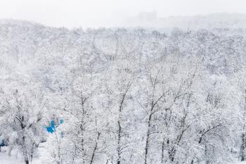 above view of snow covered trees in urban Timiryazevskiy park in Moscow city in winter