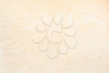 blank wooden background from natural birch board