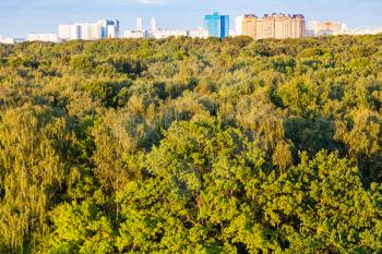 natural background - forest illuminated by sunset sun and city on horizon in summer evening
