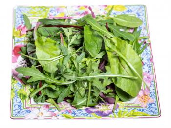 mix of assorted small young salad greens on ornamental square plate isolated on white background