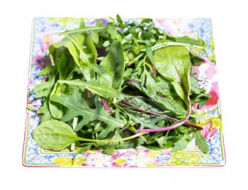 mix of assorted small young salad greens on decorative square plate isolated on white background