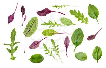 many fresh leaves of various leafy vegetables (chard, spinach, arugula) isolated on white background