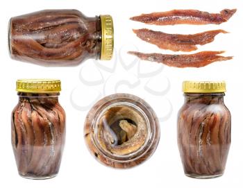 set of anchovy fillets in olive oil in glass jar isolated on white background