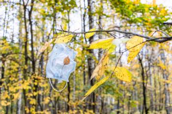 dirty medical face mask hanging on tree branch with yellow leaves in city park on autumn day
