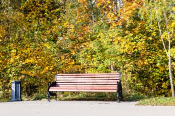 wooden bench illuminated by sun and trash can under colorful trees along path in city park on sunny autumn day