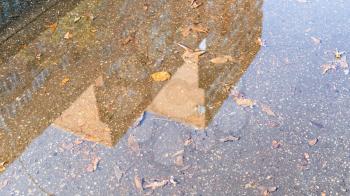 rain puddle with fallen leaves and reflection of high-rise building on sunny autumn day