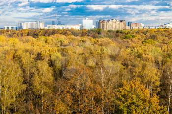 lush urban park and and apartment houses on horizon lit by autumn afternoon sun in Moscow city