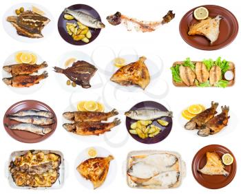 set of various fried fishes (river trout, herring, sprat, pollack, flounder, seabass, labrax, seabream, orata, rockfish, sea perch, etc) isolated on white background