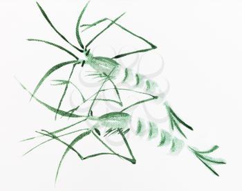 pair of green prawns hand-drawn by watercolor on white canvas in sumi-e (suibokuga) style